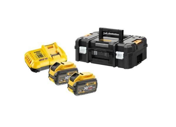 54V Сет FLEXVOLT полнач и 2x12Ah батерии TSTAK